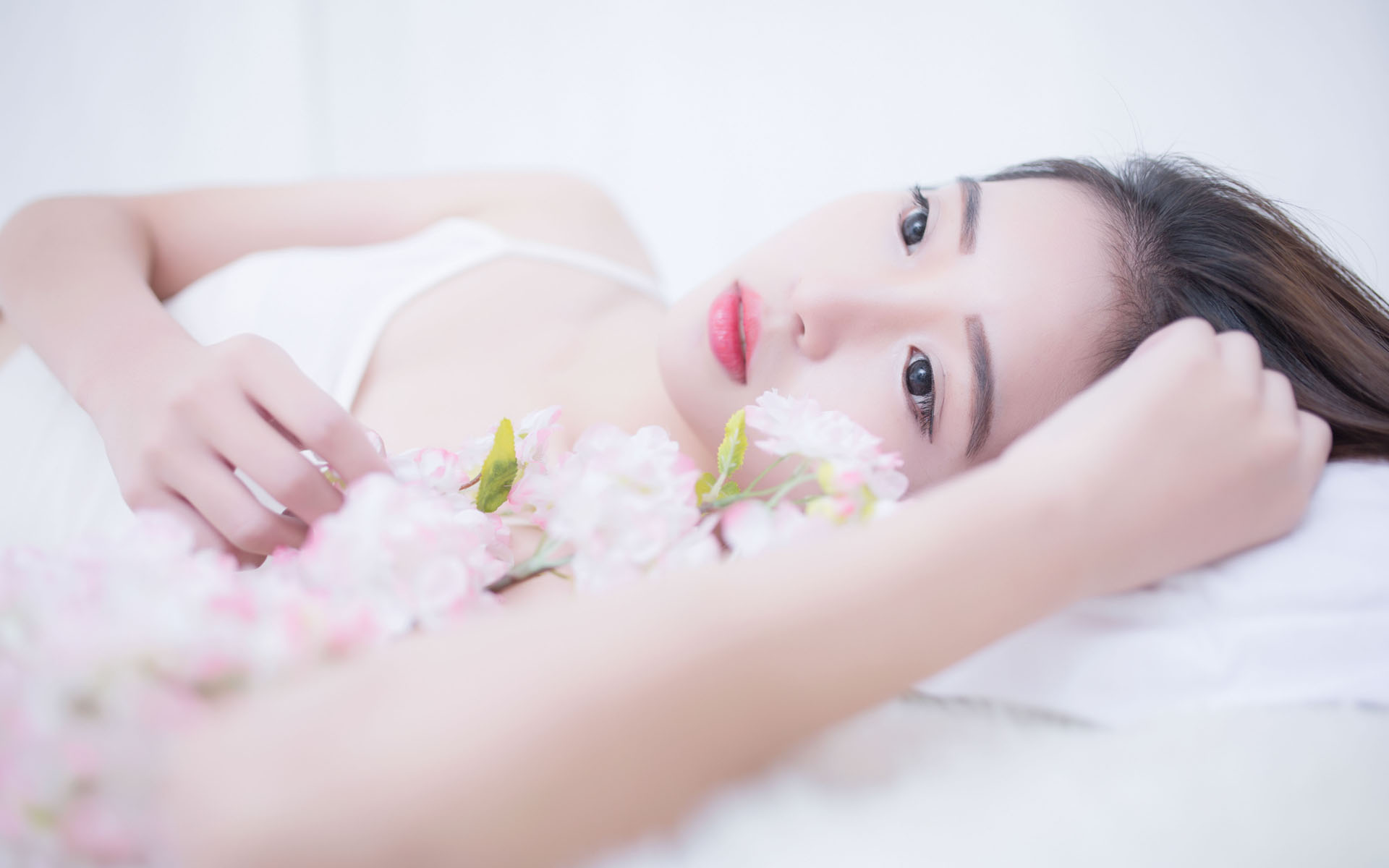 北京市第十五届精品盆景展开幕 “景山消夏夜”将开启